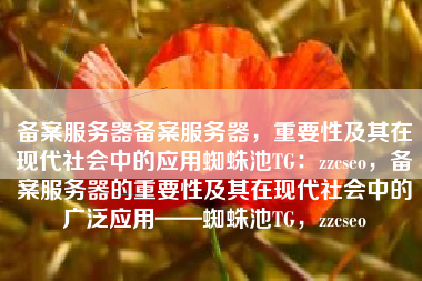 备案服务器备案服务器，重要性及其在现代社会中的应用蜘蛛池TG：zzcseo，备案服务器的重要性及其在现代社会中的广泛应用——蜘蛛池TG，zzcseo