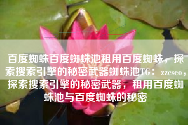 百度蜘蛛百度蜘蛛池租用百度蜘蛛，探索搜索引擎的秘密武器蜘蛛池TG：zzcseo，探索搜索引擎的秘密武器，租用百度蜘蛛池与百度蜘蛛的秘密