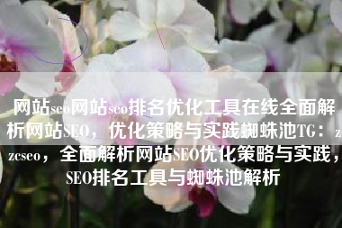 网站seo网站seo排名优化工具在线全面解析网站SEO，优化策略与实践蜘蛛池TG：zzcseo，全面解析网站SEO优化策略与实践，SEO排名工具与蜘蛛池解析