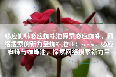必应蜘蛛必应蜘蛛池探索必应蜘蛛，网络搜索的新力量蜘蛛池TG：zzcseo，必应蜘蛛与蜘蛛池，探索网络搜索新力量