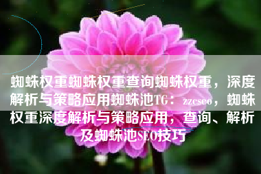 蜘蛛权重蜘蛛权重查询蜘蛛权重，深度解析与策略应用蜘蛛池TG：zzcseo，蜘蛛权重深度解析与策略应用，查询、解析及蜘蛛池SEO技巧