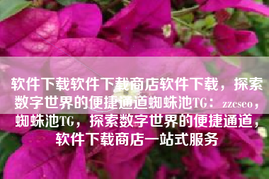 软件下载软件下载商店软件下载，探索数字世界的便捷通道蜘蛛池TG：zzcseo，蜘蛛池TG，探索数字世界的便捷通道，软件下载商店一站式服务