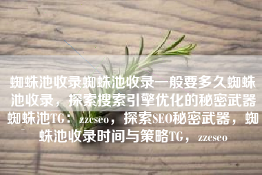 蜘蛛池收录蜘蛛池收录一般要多久蜘蛛池收录，探索搜索引擎优化的秘密武器蜘蛛池TG：zzcseo，探索SEO秘密武器，蜘蛛池收录时间与策略TG，zzcseo