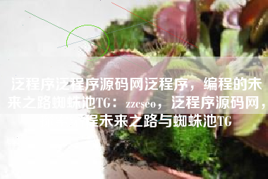 泛程序泛程序源码网泛程序，编程的未来之路蜘蛛池TG：zzcseo，泛程序源码网，探索编程未来之路与蜘蛛池TG