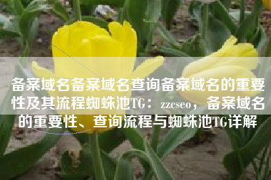 备案域名备案域名查询备案域名的重要性及其流程蜘蛛池TG：zzcseo，备案域名的重要性、查询流程与蜘蛛池TG详解