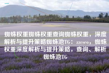蜘蛛权重蜘蛛权重查询蜘蛛权重，深度解析与提升策略蜘蛛池TG：zzcseo，蜘蛛权重深度解析与提升策略，查询、解析蜘蛛池TG