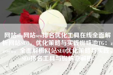 网站seo网站seo排名优化工具在线全面解析网站SEO，优化策略与实践蜘蛛池TG：zzcseo，全面解析网站SEO优化策略与实践，SEO排名工具与蜘蛛池解析