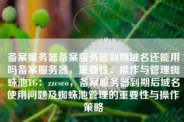 备案服务器备案服务器到期域名还能用吗备案服务器，重要性、操作与管理蜘蛛池TG：zzcseo，备案服务器到期后域名使用问题及蜘蛛池管理的重要性与操作策略