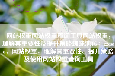 网站权重网站权重查询工具网站权重，理解其重要性及提升策略蜘蛛池TG：zzcseo，网站权重，理解其重要性、提升策略及使用网站权重查询工具