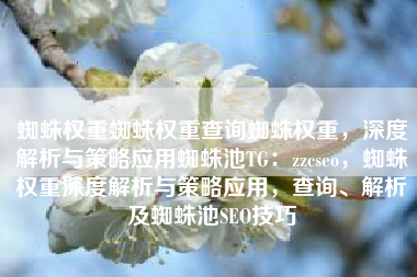 蜘蛛权重蜘蛛权重查询蜘蛛权重，深度解析与策略应用蜘蛛池TG：zzcseo，蜘蛛权重深度解析与策略应用，查询、解析及蜘蛛池SEO技巧