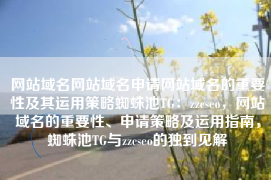 网站域名网站域名申请网站域名的重要性及其运用策略蜘蛛池TG：zzcseo，网站域名的重要性、申请策略及运用指南，蜘蛛池TG与zzcseo的独到见解
