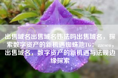 出售域名出售域名违法吗出售域名，探索数字资产的新机遇蜘蛛池TG：zzcseo，出售域名，数字资产的新机遇与法规边缘探索