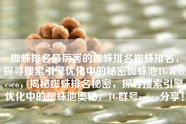 蜘蛛排名最厉害的蜘蛛排名蜘蛛排名，探寻搜索引擎优化中的秘密蜘蛛池TG：zzcseo，揭秘蜘蛛排名秘密，探寻搜索引擎优化中的蜘蛛池奥秘，TG群号zzcseo分享！