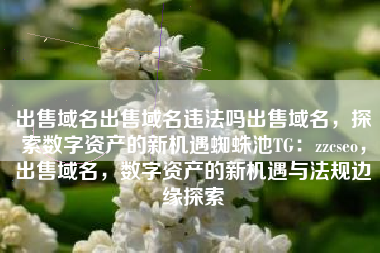 出售域名出售域名违法吗出售域名，探索数字资产的新机遇蜘蛛池TG：zzcseo，出售域名，数字资产的新机遇与法规边缘探索