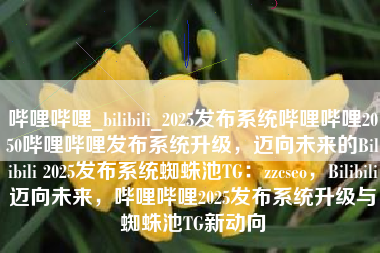 哔哩哔哩_bilibili_2025发布系统哔哩哔哩2050哔哩哔哩发布系统升级，迈向未来的Bilibili 2025发布系统蜘蛛池TG：zzcseo，Bilibili迈向未来，哔哩哔哩2025发布系统升级与蜘蛛池TG新动向