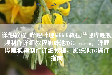 详细教程_哔哩哔哩bilibili教程哔哩哔哩视频制作详细教程蜘蛛池TG：zzcseo，哔哩哔哩视频制作详细教程，蜘蛛池TG操作指南