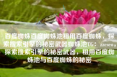 百度蜘蛛百度蜘蛛池租用百度蜘蛛，探索搜索引擎的秘密武器蜘蛛池TG：zzcseo，探索搜索引擎的秘密武器，租用百度蜘蛛池与百度蜘蛛的秘密