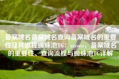 备案域名备案域名查询备案域名的重要性及其流程蜘蛛池TG：zzcseo，备案域名的重要性、查询流程与蜘蛛池TG详解