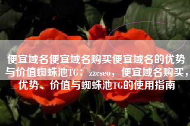便宜域名便宜域名购买便宜域名的优势与价值蜘蛛池TG：zzcseo，便宜域名购买，优势、价值与蜘蛛池TG的使用指南