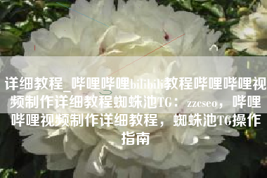 详细教程_哔哩哔哩bilibili教程哔哩哔哩视频制作详细教程蜘蛛池TG：zzcseo，哔哩哔哩视频制作详细教程，蜘蛛池TG操作指南