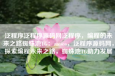 泛程序泛程序源码网泛程序，编程的未来之路蜘蛛池TG：zzcseo，泛程序源码网，探索编程未来之路，蜘蛛池TG助力发展