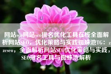 网站seo网站seo排名优化工具在线全面解析网站SEO，优化策略与实践蜘蛛池TG：zzcseo，全面解析网站SEO优化策略与实践，SEO排名工具与蜘蛛池解析