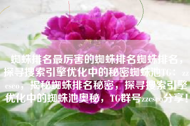 蜘蛛排名最厉害的蜘蛛排名蜘蛛排名，探寻搜索引擎优化中的秘密蜘蛛池TG：zzcseo，揭秘蜘蛛排名秘密，探寻搜索引擎优化中的蜘蛛池奥秘，TG群号zzcseo分享！