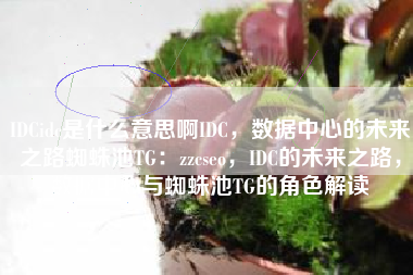 IDCidc是什么意思啊IDC，数据中心的未来之路蜘蛛池TG：zzcseo，IDC的未来之路，数据中心与蜘蛛池TG的角色解读