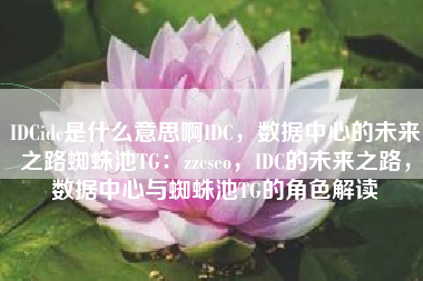 IDCidc是什么意思啊IDC，数据中心的未来之路蜘蛛池TG：zzcseo，IDC的未来之路，数据中心与蜘蛛池TG的角色解读