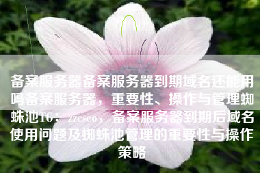备案服务器备案服务器到期域名还能用吗备案服务器，重要性、操作与管理蜘蛛池TG：zzcseo，备案服务器到期后域名使用问题及蜘蛛池管理的重要性与操作策略