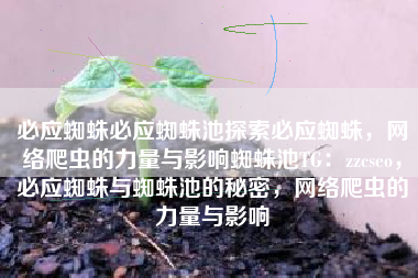 必应蜘蛛必应蜘蛛池探索必应蜘蛛，网络爬虫的力量与影响蜘蛛池TG：zzcseo，必应蜘蛛与蜘蛛池的秘密，网络爬虫的力量与影响