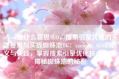 seoseo是什么意思SEO，搜索引擎优化的关键要素与实践蜘蛛池TG：zzcseo，SEO的含义与实践，掌握搜索引擎优化核心要素，揭秘蜘蛛池的秘密