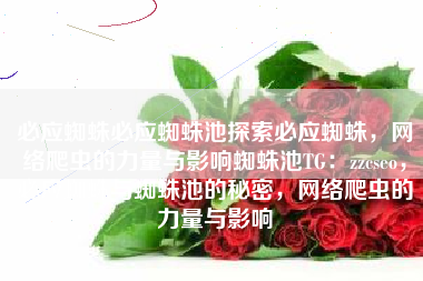 必应蜘蛛必应蜘蛛池探索必应蜘蛛，网络爬虫的力量与影响蜘蛛池TG：zzcseo，必应蜘蛛与蜘蛛池的秘密，网络爬虫的力量与影响