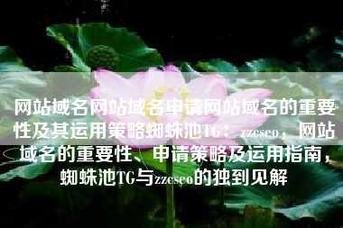 网站域名网站域名申请网站域名的重要性及其运用策略蜘蛛池TG：zzcseo，网站域名的重要性、申请策略及运用指南，蜘蛛池TG与zzcseo的独到见解