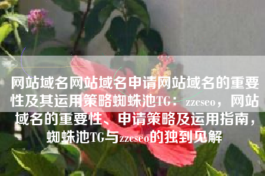 网站域名网站域名申请网站域名的重要性及其运用策略蜘蛛池TG：zzcseo，网站域名的重要性、申请策略及运用指南，蜘蛛池TG与zzcseo的独到见解