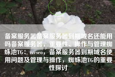 备案服务器备案服务器到期域名还能用吗备案服务器，重要性、操作与管理蜘蛛池TG：zzcseo，备案服务器到期域名使用问题及管理与操作，蜘蛛池TG的重要性探讨