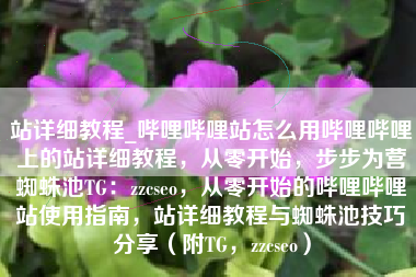 站详细教程_哔哩哔哩站怎么用哔哩哔哩上的站详细教程，从零开始，步步为营蜘蛛池TG：zzcseo，从零开始的哔哩哔哩站使用指南，站详细教程与蜘蛛池技巧分享（附TG，zzcseo）