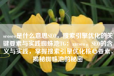 seoseo是什么意思SEO，搜索引擎优化的关键要素与实践蜘蛛池TG：zzcseo，SEO的含义与实践，掌握搜索引擎优化核心要素，揭秘蜘蛛池的秘密