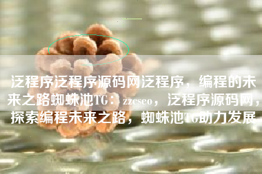 泛程序泛程序源码网泛程序，编程的未来之路蜘蛛池TG：zzcseo，泛程序源码网，探索编程未来之路，蜘蛛池TG助力发展