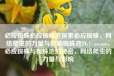 必应蜘蛛必应蜘蛛池探索必应蜘蛛，网络爬虫的力量与影响蜘蛛池TG：zzcseo，必应蜘蛛与蜘蛛池的秘密，网络爬虫的力量与影响