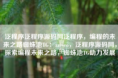 泛程序泛程序源码网泛程序，编程的未来之路蜘蛛池TG：zzcseo，泛程序源码网，探索编程未来之路，蜘蛛池TG助力发展