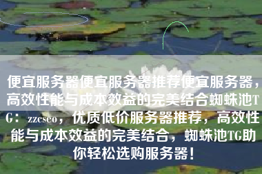 便宜服务器便宜服务器推荐便宜服务器，高效性能与成本效益的完美结合蜘蛛池TG：zzcseo，优质低价服务器推荐，高效性能与成本效益的完美结合，蜘蛛池TG助你轻松选购服务器！