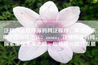 泛程序泛程序源码网泛程序，编程的未来之路蜘蛛池TG：zzcseo，泛程序源码网，探索编程未来之路，蜘蛛池TG助力发展