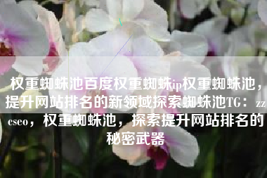 权重蜘蛛池百度权重蜘蛛ip权重蜘蛛池，提升网站排名的新领域探索蜘蛛池TG：zzcseo，权重蜘蛛池，探索提升网站排名的秘密武器
