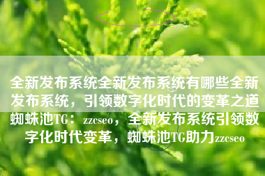 全新发布系统全新发布系统有哪些全新发布系统，引领数字化时代的变革之道蜘蛛池TG：zzcseo，全新发布系统引领数字化时代变革，蜘蛛池TG助力zzcseo