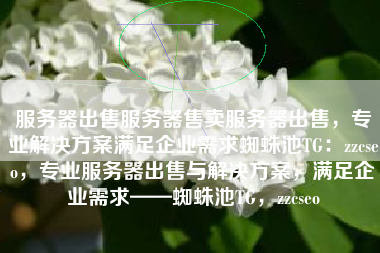 服务器出售服务器售卖服务器出售，专业解决方案满足企业需求蜘蛛池TG：zzcseo，专业服务器出售与解决方案，满足企业需求——蜘蛛池TG，zzcseo