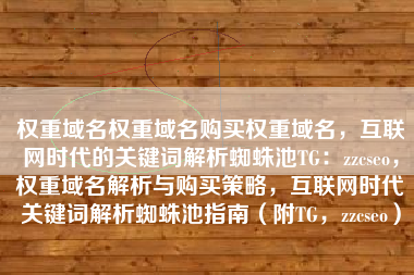 权重域名权重域名购买权重域名，互联网时代的关键词解析蜘蛛池TG：zzcseo，权重域名解析与购买策略，互联网时代关键词解析蜘蛛池指南（附TG，zzcseo）