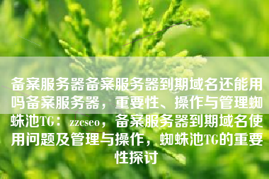 备案服务器备案服务器到期域名还能用吗备案服务器，重要性、操作与管理蜘蛛池TG：zzcseo，备案服务器到期域名使用问题及管理与操作，蜘蛛池TG的重要性探讨