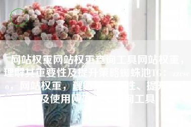网站权重网站权重查询工具网站权重，理解其重要性及提升策略蜘蛛池TG：zzcseo，网站权重，理解其重要性、提升策略及使用网站权重查询工具