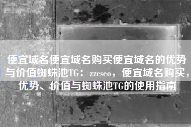 便宜域名便宜域名购买便宜域名的优势与价值蜘蛛池TG：zzcseo，便宜域名购买，优势、价值与蜘蛛池TG的使用指南